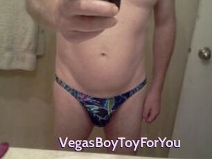 VegasBoyToyForYou