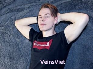 VeinsViet