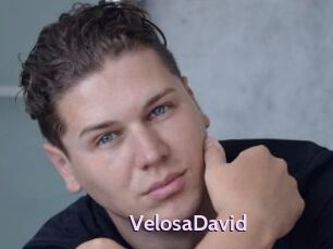 VelosaDavid
