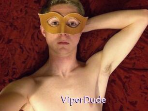 ViperDude