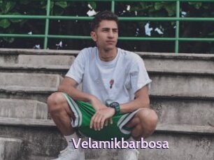 Velamikbarbosa