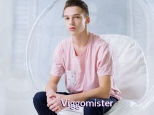 Viggomister