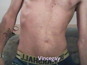 Vincegay