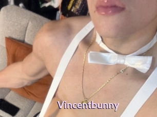 Vincentbunny