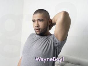 WayneBoyI
