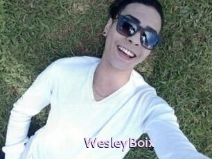 Wesley_Boix
