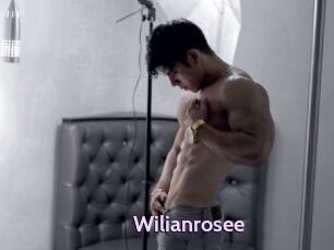 Wilianrosee