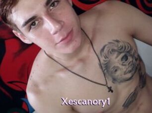 Xescanory1