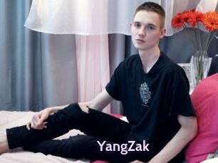 YangZak