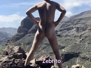 Zebrito