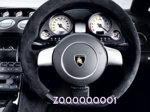 Z000000001