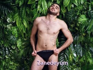 Zanedeyum