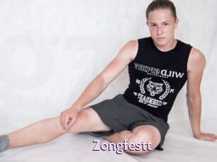 Zongfestt